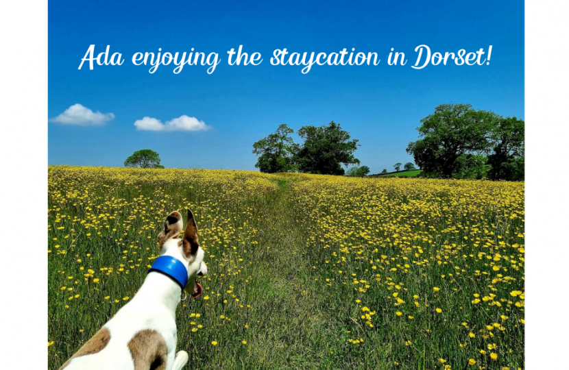 Ada enjoying the staycation in Dorset!